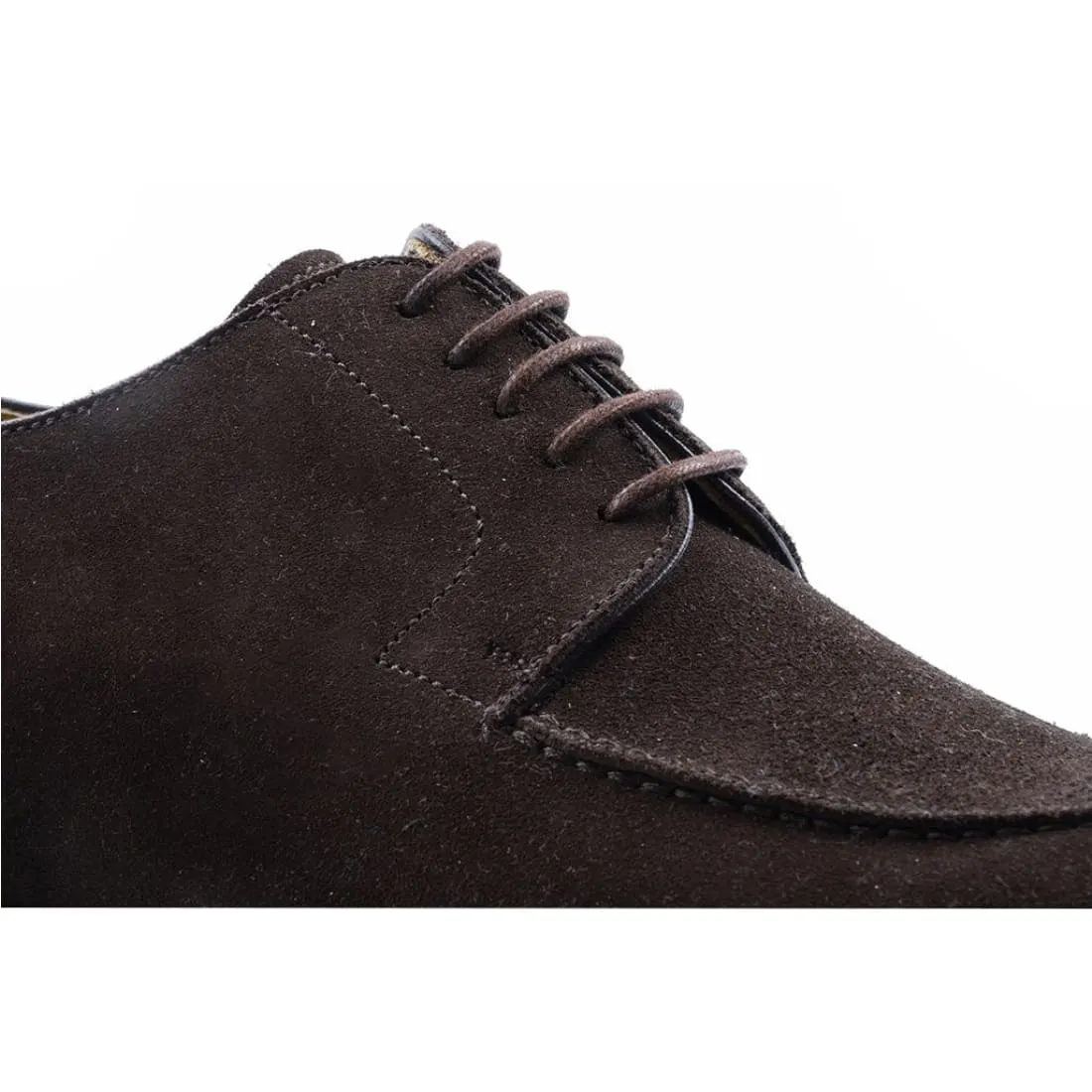 Chasse/Hunt Daim Marron