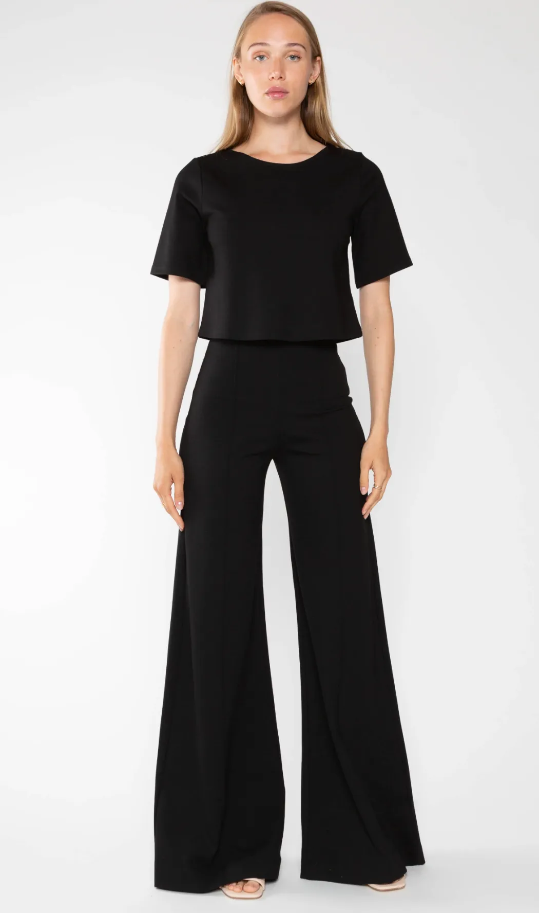 Ponte Knit Wide Leg Pant Black